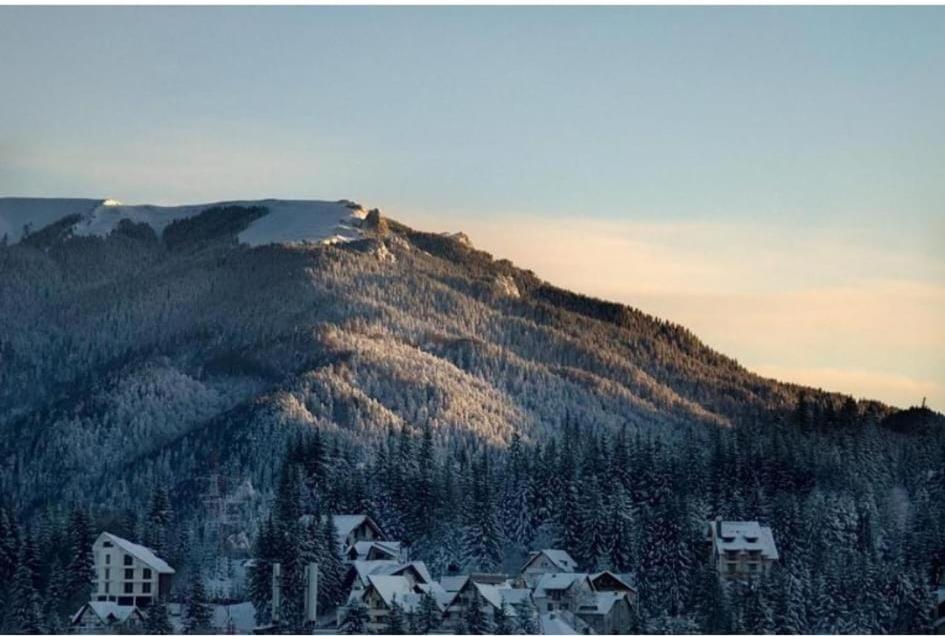 Hotel Mont Blanc